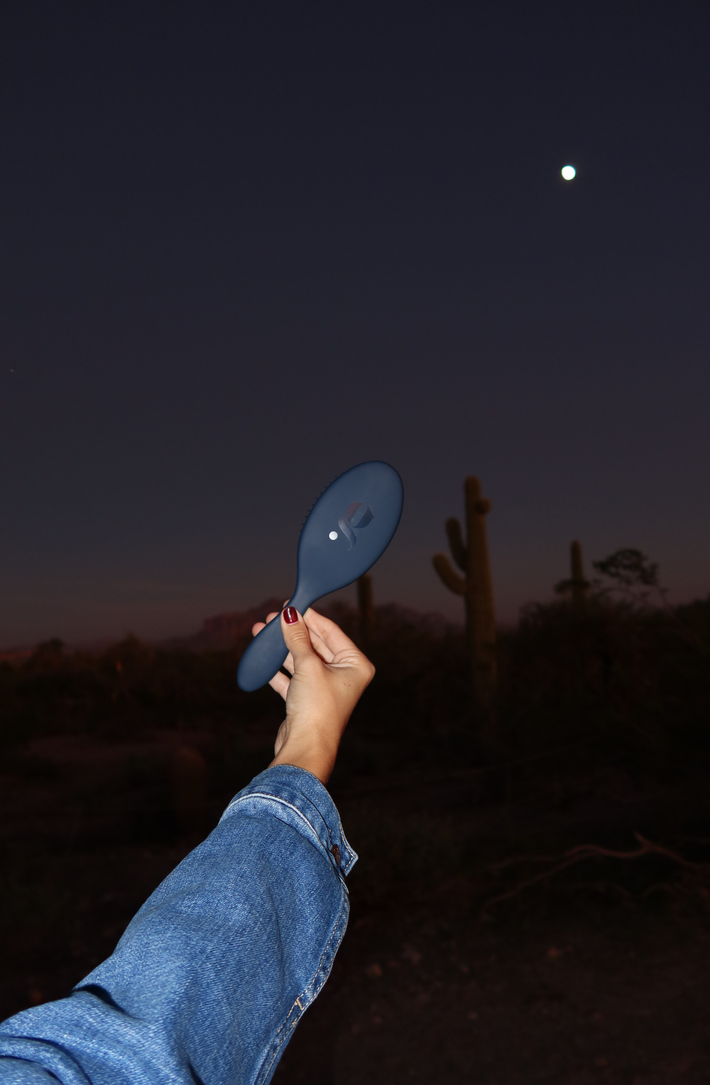 The Detangling Brush