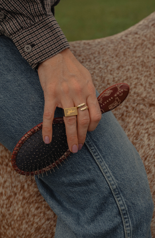 The Western Detangling Brush